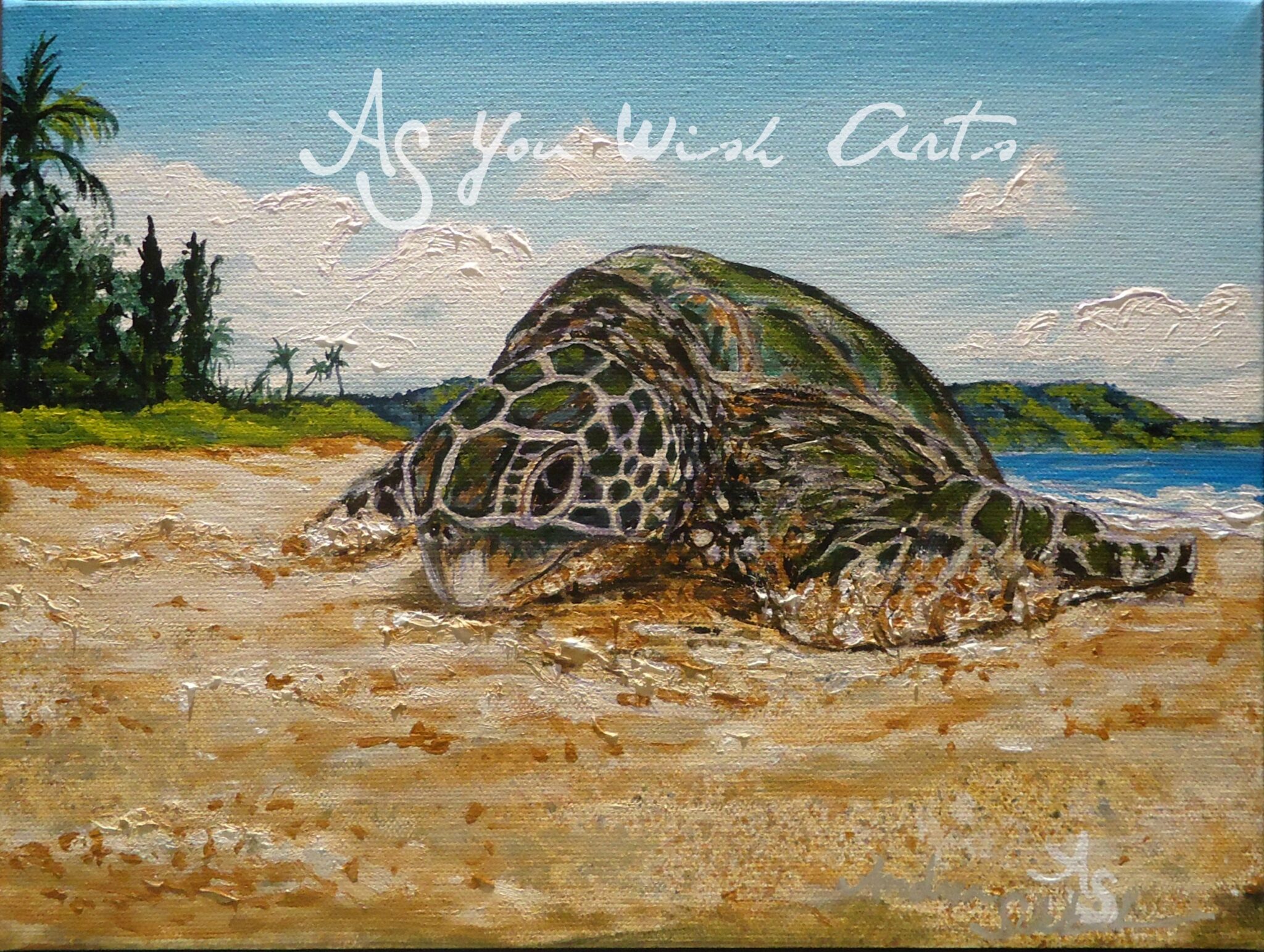 Honu winking with As you wish arts watermark