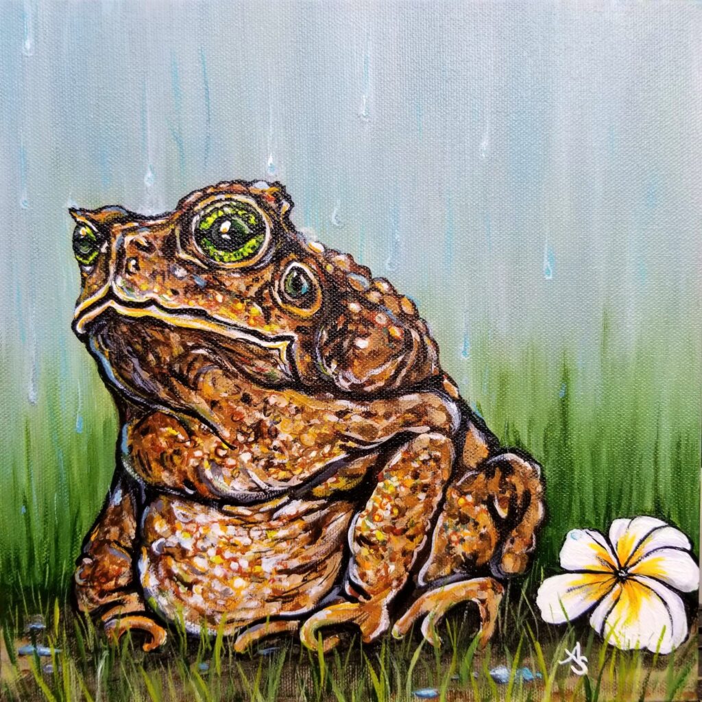 a cane toad sits in the rain next to a plumeria blossom