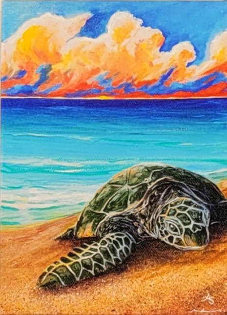 a Hawaiian Green Sea Turtle at sunset