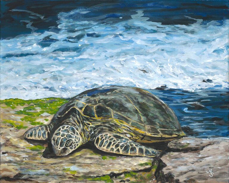 A painting of a green sea turtle sunning himself on the rocks by the ocean